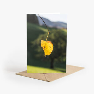 Grusskarte mit Herbst Fotografie: Einzelnes gelbes Blatt mit braunen Flecken an einem Ast. Im Hintergrund verschwommen ein grosser Baum mit Landschaft.