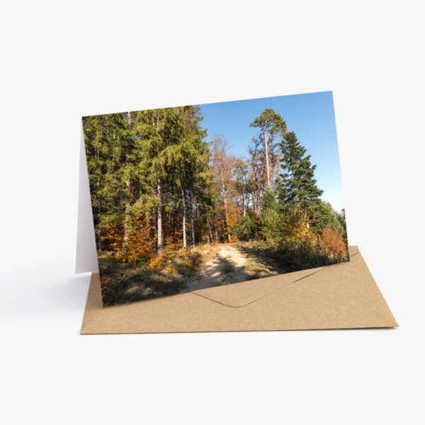 Grusskarte mit Herbst Fotografie: Weg in den herbstlich gefärbten Wald an einem sonnigen Tag.