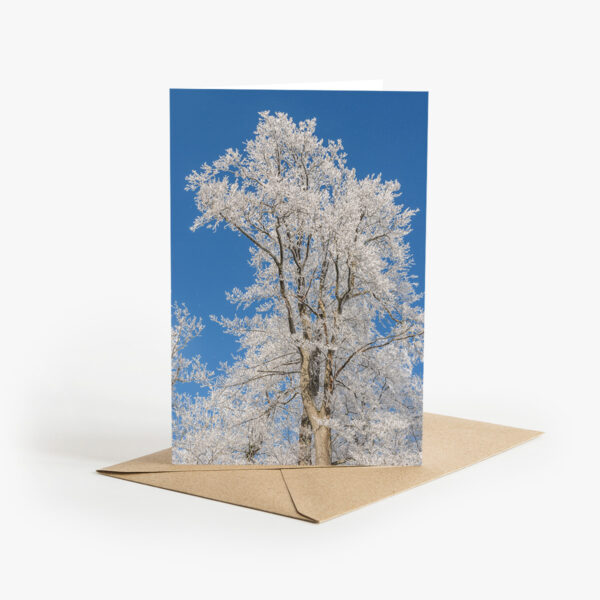 Grusskarte Baum mit Raureif