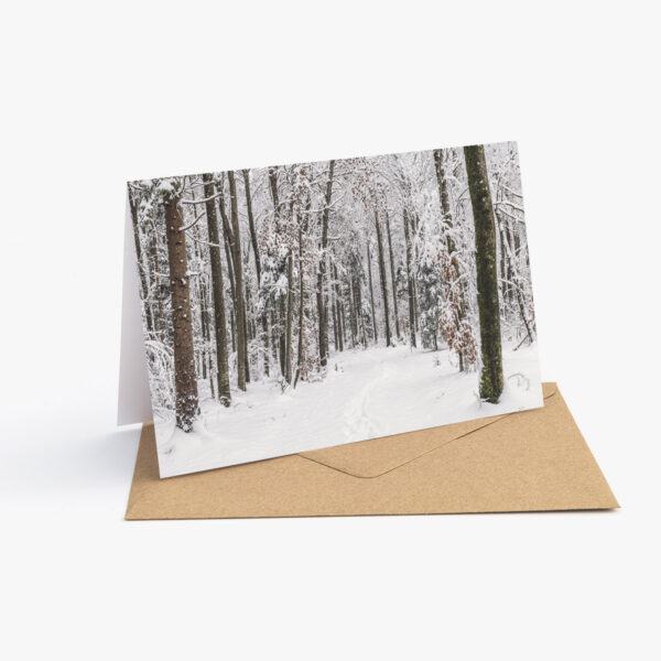 Grusskarte mit Winter Fotografie: Weg durch den mit Schnee bedeckten Wald.